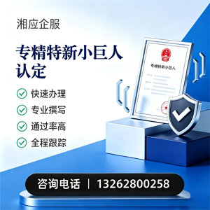 苏州专精特新小巨人申报服务