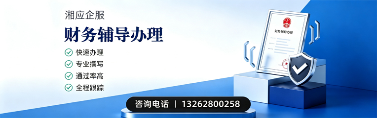 苏州财务辅导申请服务