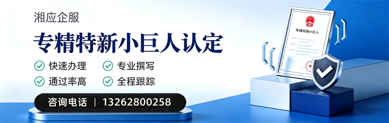 苏州专精特新小巨人申报服务